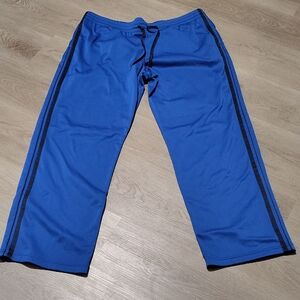 Danskin Now Men's Blue Joggers with Black Stripes